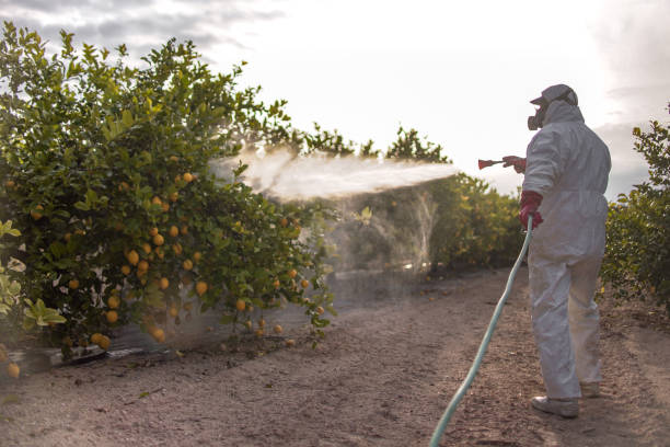 Best Cockroach Control Services  in Turner, OR